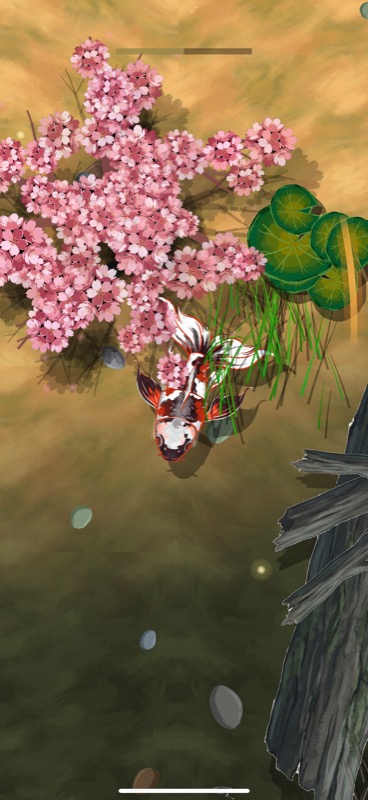 Wake — koi swimming beneath cherry blossoms