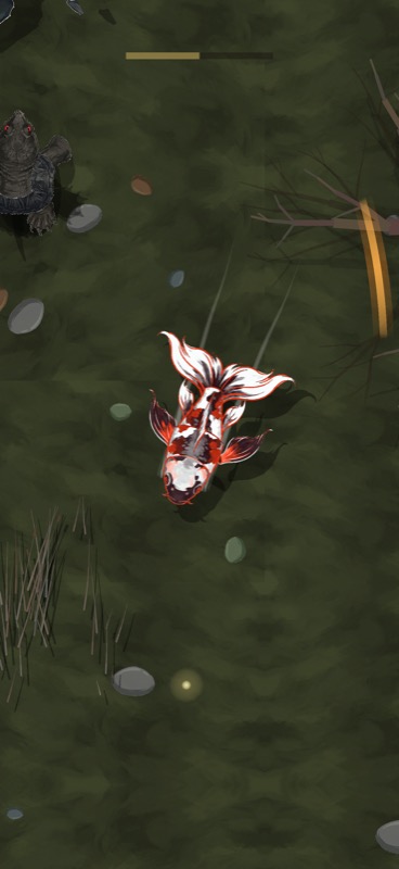 Wake — koi in the dead zone with snapping turtle